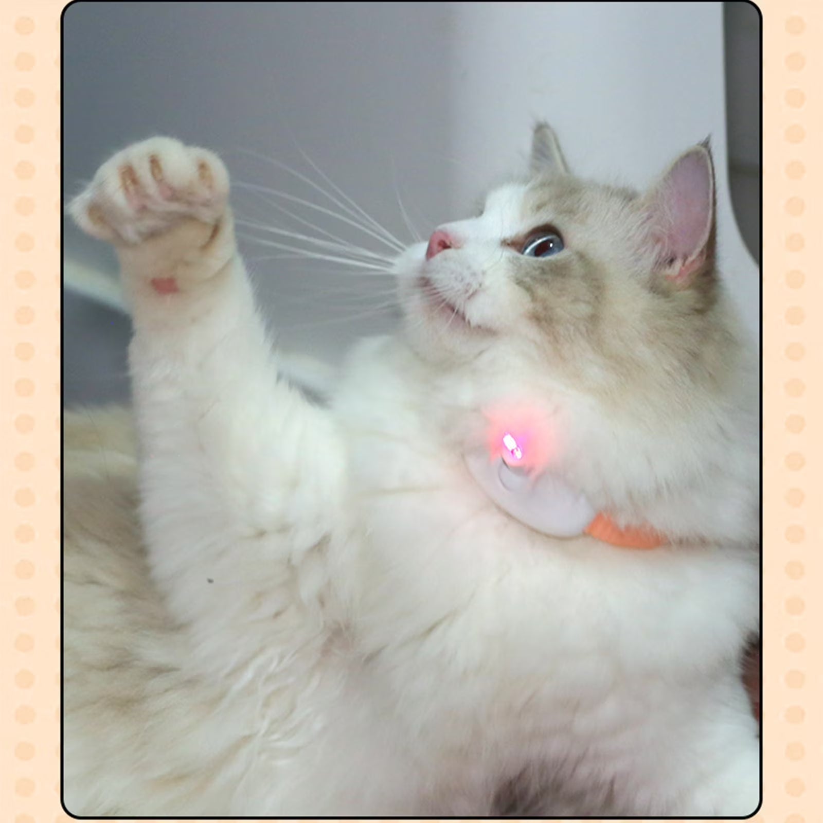 WLOELOEW Mint Green Automatic Laser Pointer Collar for Cats Wearable Interactive Cat Toy Usb Rechargeable Smart Amusing Pet Collar Plastic and Silicone Material Mint Green