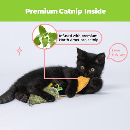 Catify Ultimate Cat Play Gift Set – Scratcher Ramp, Sushi Roll Catnip Toys & Squeaking Mice Toys